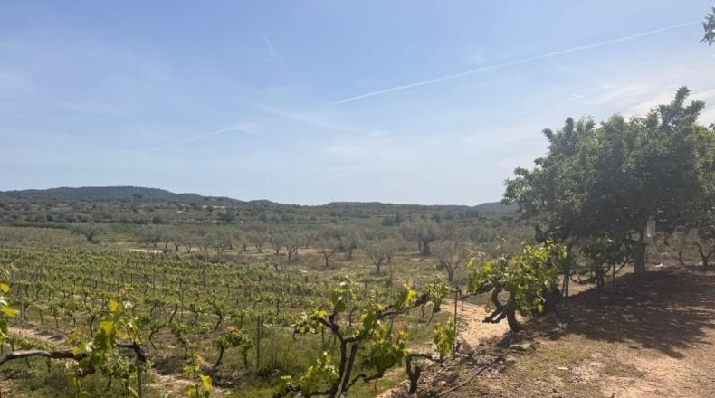 València - Villar del Arzobispo - 3587m2