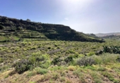 Terreno no urbanizable en venta en la España, Agüimes, ref: TR405550 foto