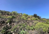 Terreno no urbanizable en venta en la España, Agüimes, ref: TR405550 foto