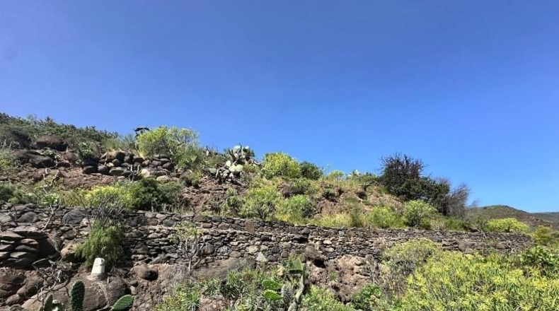 Las Palmas - Agüimes - 706m2