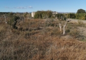 Non-developable land for sale on España, Ribarroja del Turia, ref: TR405551 photo