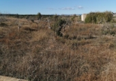 Non-developable land for sale on España, Ribarroja del Turia, ref: TR405551 photo
