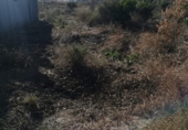 Non-developable land for sale on España, Ribarroja del Turia, ref: TR405551 photo