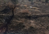 Non-developable land for sale on España, Ribarroja del Turia, ref: TR405551 photo
