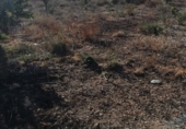 Non-developable land for sale on España, Ribarroja del Turia, ref: TR405551 photo