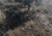 Non-developable land for sale on España, Ribarroja del Turia, ref: TR405551 photo