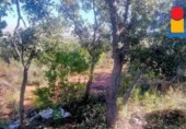 Terreno no urbanizable en venta en la España, Cáceres, ref: TR363277 foto