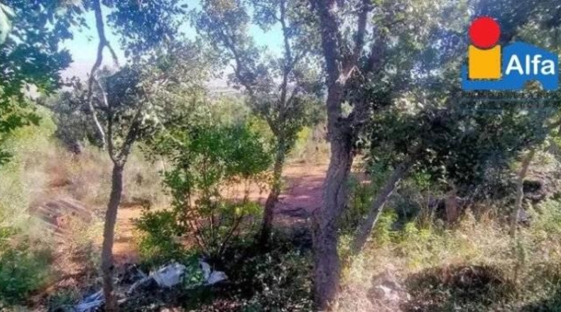 Cáceres - Cáceres - 2500m2