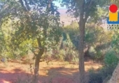 Terreno no urbanizable en venta en la España, Cáceres, ref: TR363277 foto