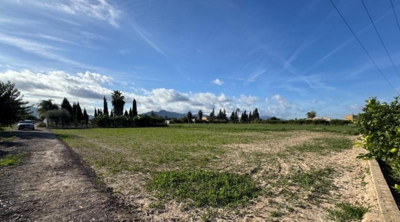Murcia - Мурсия - 1750m2
