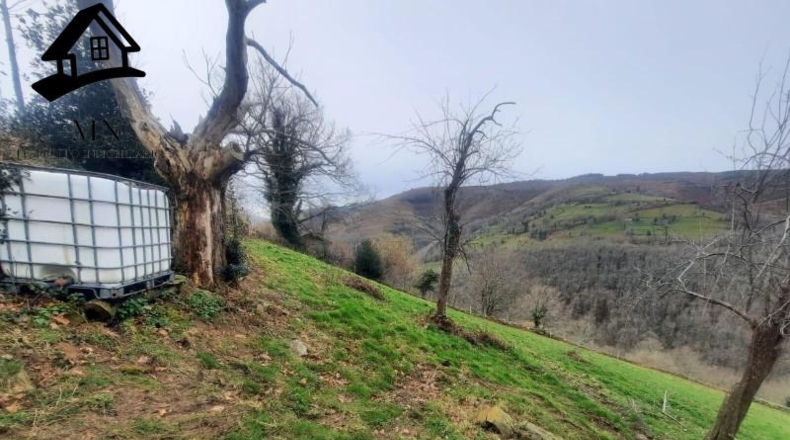Cantabria - San Pedro del Romeral - 10240m2