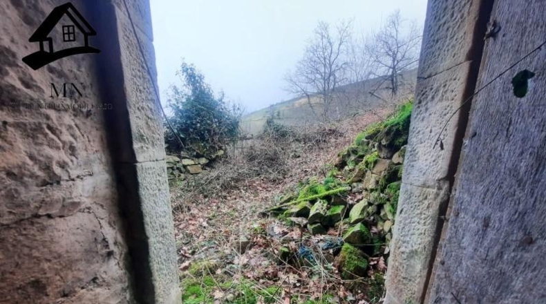 Cantabria - San Pedro del Romeral - 10240m2