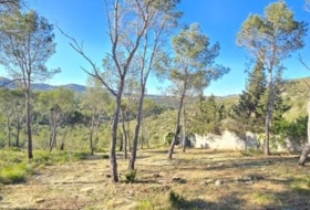 Canyelles 748&nbsp;m² 