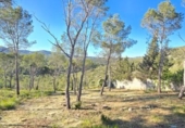 Suelo urbano en venta en la España, Canyelles, ref: TR396810 foto