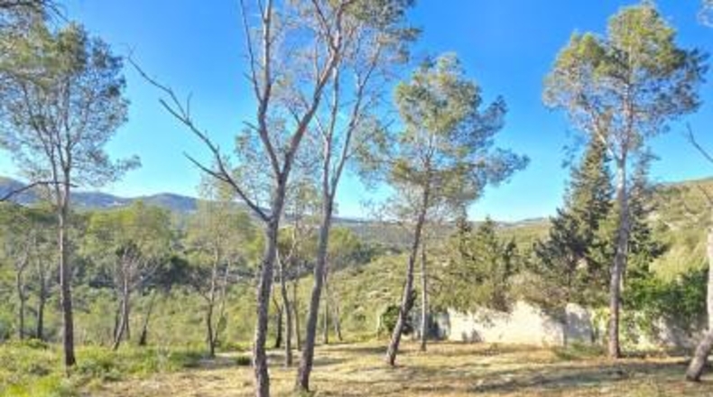 Barcelona - Canyelles - 748m2