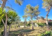 Suelo urbano en venta en la España, Canyelles, ref: TR396810 foto