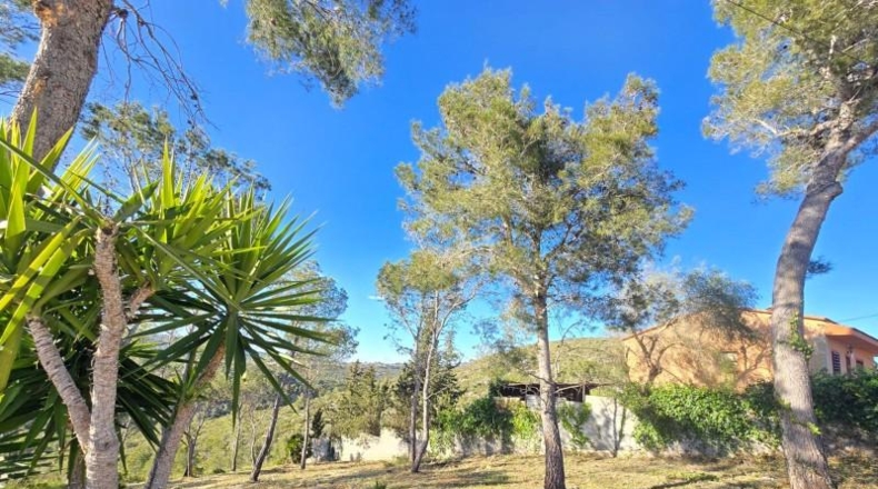 Barcelona - Canyelles - 748m2