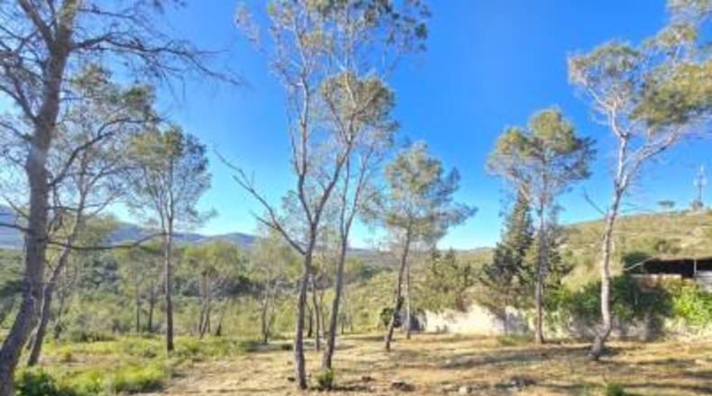 Barcelona - Canyelles - 748m2