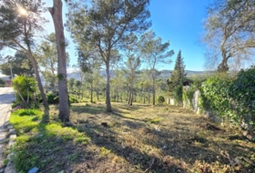 Canyelles 748&nbsp;m² 