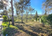 Suelo urbano en venta en la España, Canyelles, ref: TR396810 foto