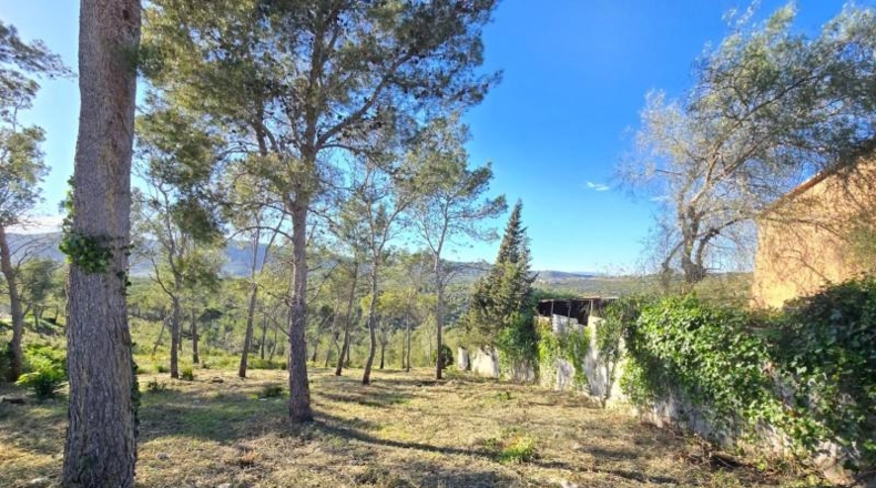Barcelona - Canyelles - 748m2