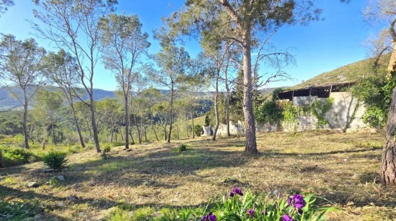 Barcelona - Canyelles - 748m2