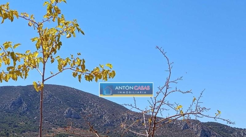 Alicante - La Romana - 11369m2