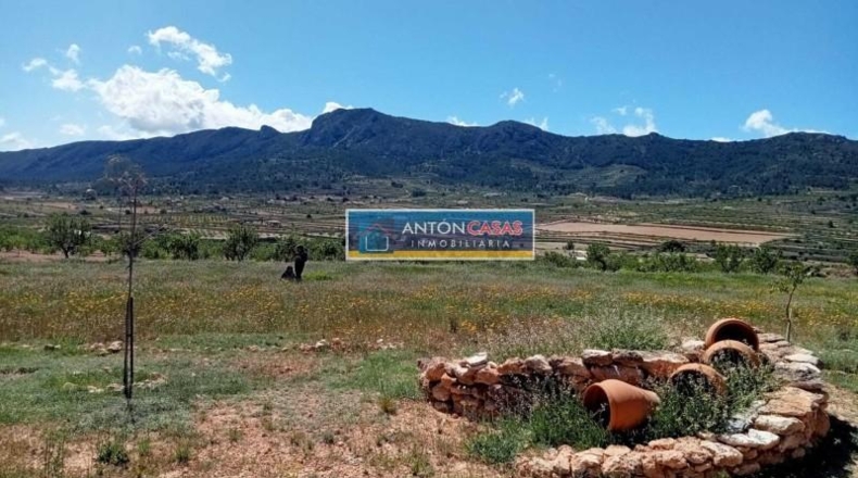 Alicante - La Romana - 11369m2