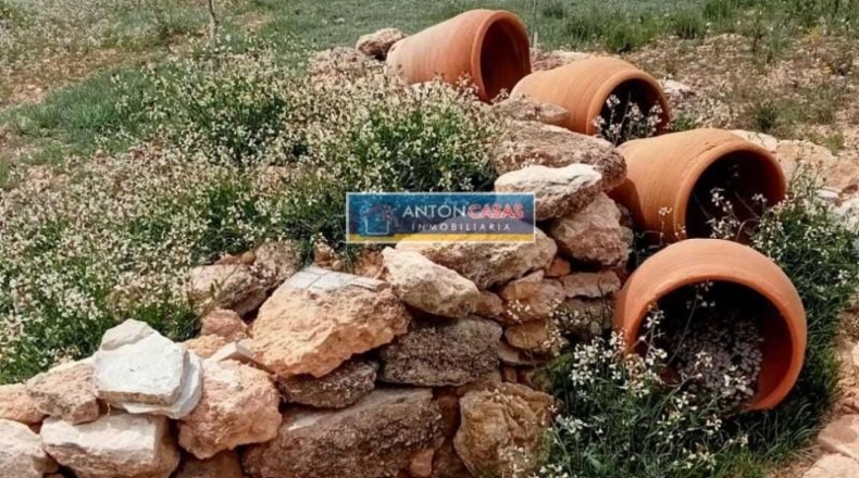 Alicante - La Romana - 11369m2