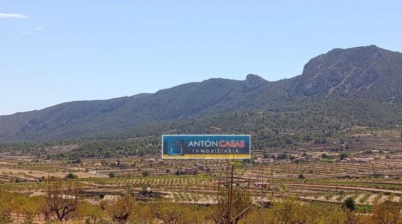 Alicante - La Romana - 11369m2