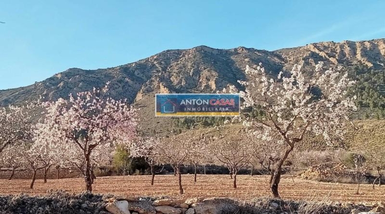 Alicante - La Romana - 11369m2