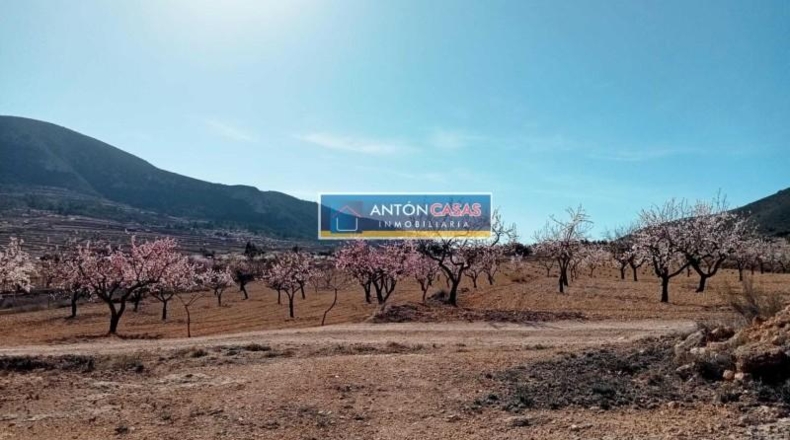 Alicante - La Romana - 11369m2