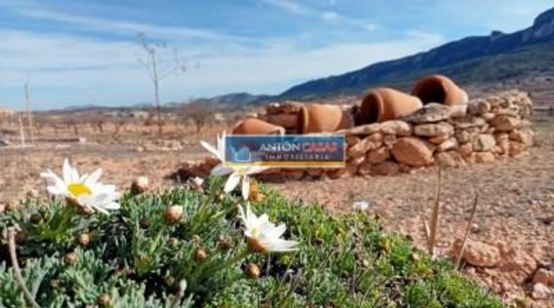Alicante - La Romana - 11369m2