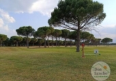 Suelo urbano en venta en la España, Aldeamayor de San Martín, ref: TR265490 foto