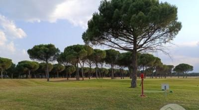 Valladolid - Aldeamayor de San Martín - 1044m2