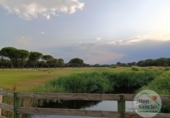 Suelo urbano en venta en la España, Aldeamayor de San Martín, ref: TR265490 foto