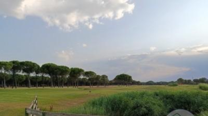 Valladolid - Aldeamayor de San Martín - 1044m2