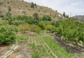 Non-developable land for sale on España, Acequias, ref: TR371227 photo