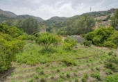 Non-developable land for sale on España, Acequias, ref: TR371227 photo