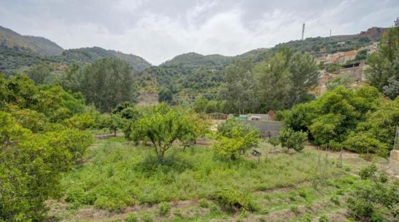 Гранада - Acequias - 2642m2