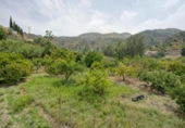 Non-developable land for sale on España, Acequias, ref: TR371227 photo