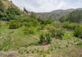 Non-developable land for sale on España, Acequias, ref: TR371227 photo