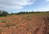 Terreno no urbanizable en venta en la España, Benlloc, ref: TR405585 foto