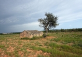 Terreno no urbanizable en venta en la España, Benlloc, ref: TR405585 foto