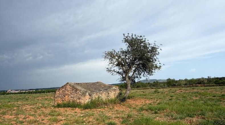 Castellón - Benlloc - 19064m2