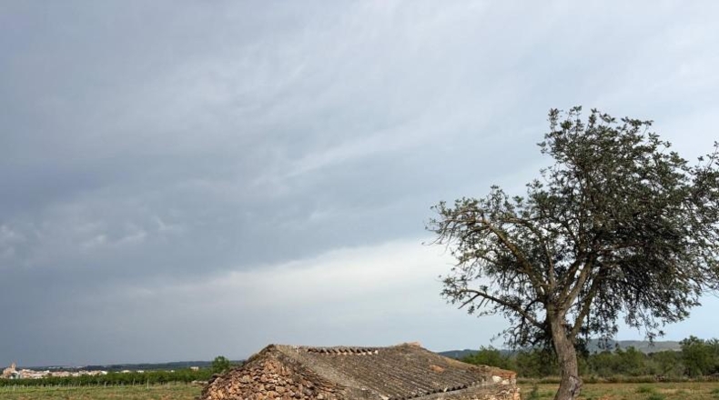 Castellón - Benlloc - 19064m2