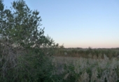 Non-developable land for sale on España, Pego, ref: TR323580 photo
