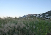 Non-developable land for sale on España, Pego, ref: TR323580 photo