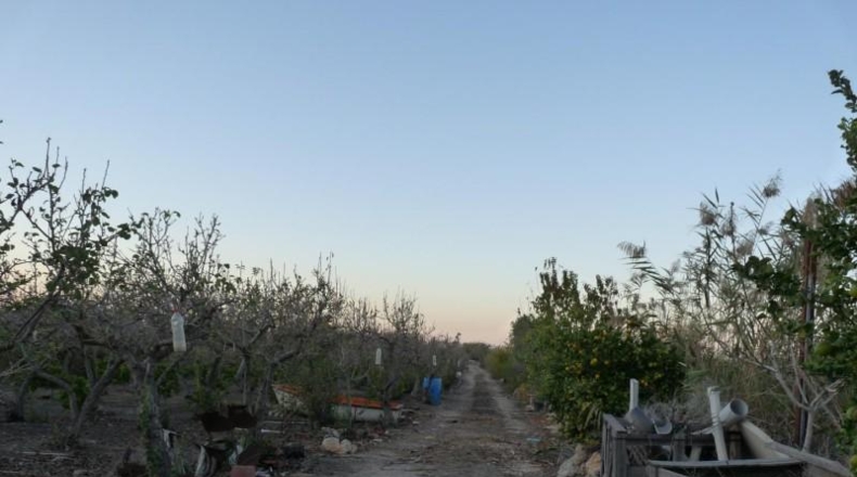 Zamora - Фуентес-де-Ропель - 8900m2