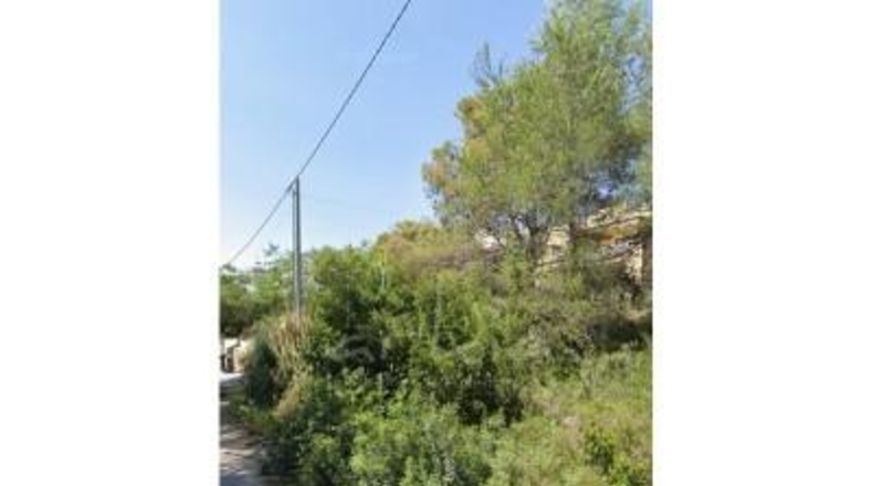 València - Alginet - 1182m2